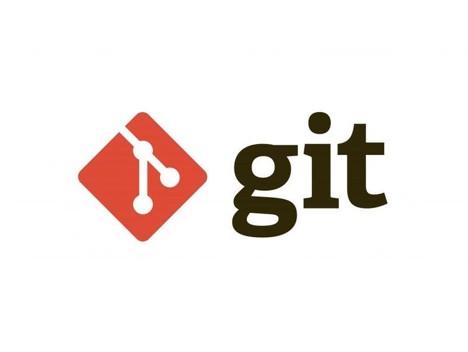 Version Control Systems in Programming