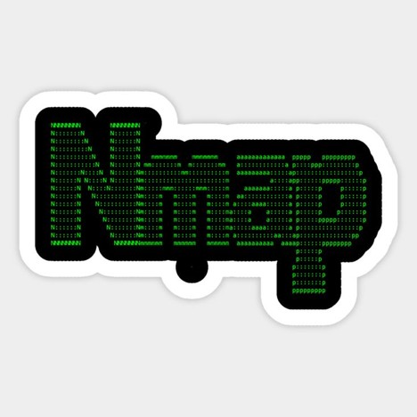 Securing Your Network: Understanding Nmap